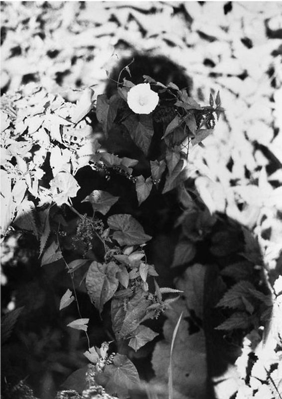 Jochen Lempert. Relación