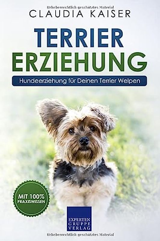 Terrier Erziehung: Hundeerziehung für Deinen Terrier Welpen