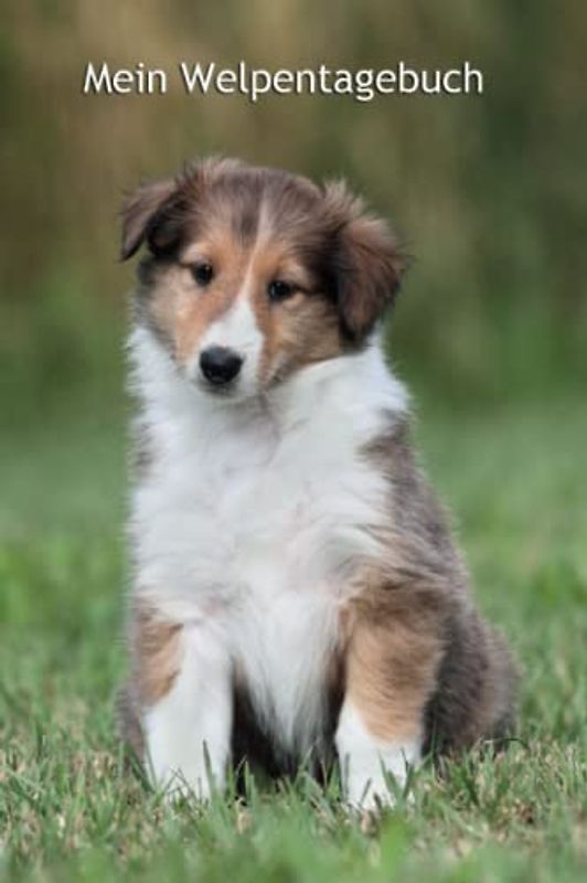 Mein Welpentagebuch: die ersten Monate mit meinem Collie - 120 Seiten - Softcover (Amerikanischer Collie - alle Bücher: Trainingstagebuch, Krankenakte, BARF Planer und Welpentagebuch, Band 4)