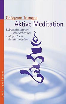 Aktive Meditation. Lebenssituationen klar erkennen und geschickt damit umgehen