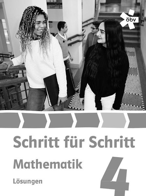 Schritt für Schritt Mathematik 4