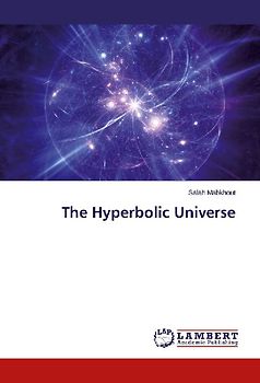 The Hyperbolic Universe