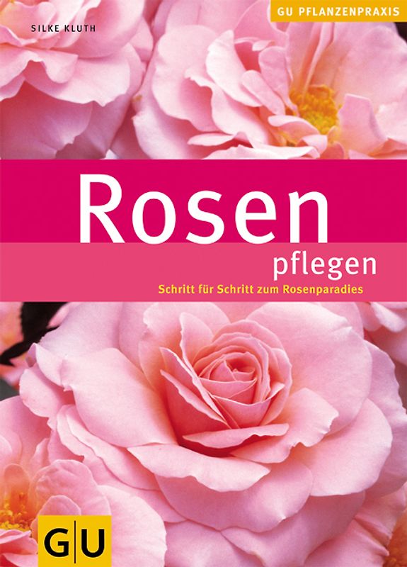 Rosen pflegen