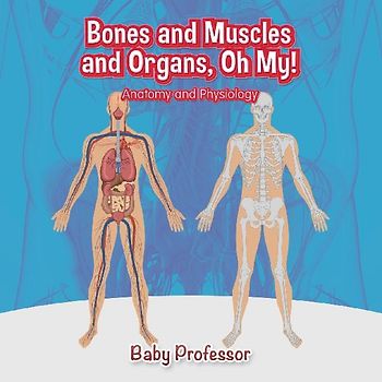 Bones and Muscles and Organs, Oh My! | Anatomy and Physiology