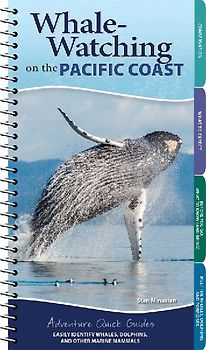Whale-Watching on the Pacific Coast