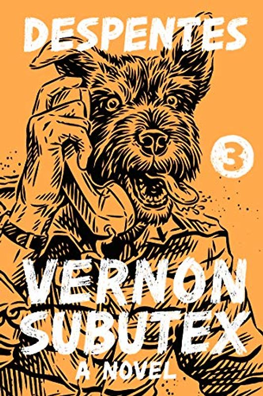 Vernon Subutex 3: Virginie Despentes