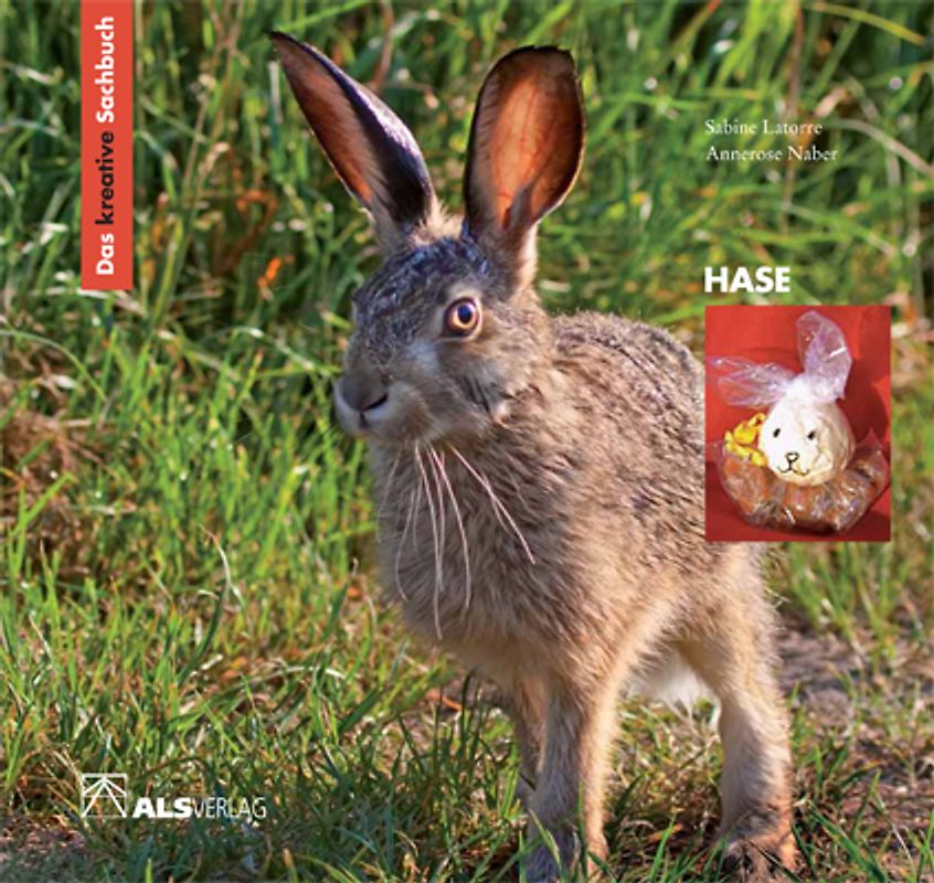 Das kreative Sachbuch "Hase"