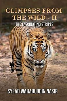 Glimpses from the Wild - II the Fascinating Stripes