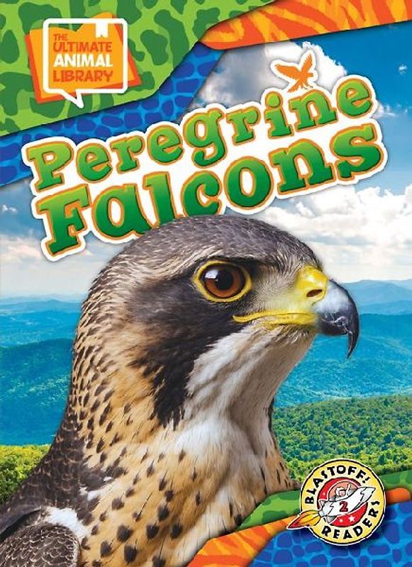 Peregrine Falcons
