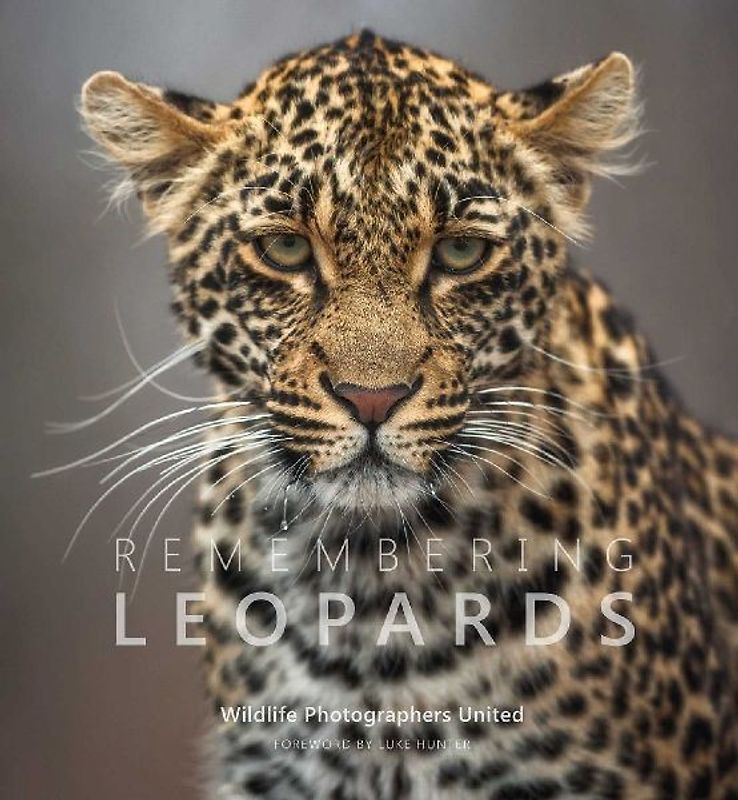 Remembering Leopards