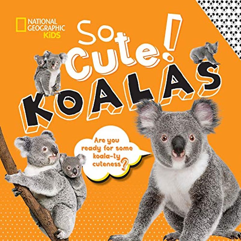 So Cute! Koalas (So Cool/So Cute)