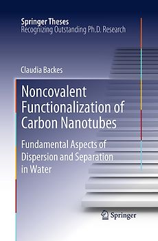 Noncovalent Functionalization of Carbon Nanotubes