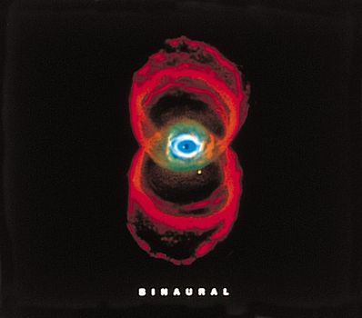 Pearl Jam - Binaural