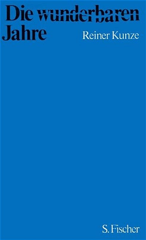 Die wunderbaren Jahre