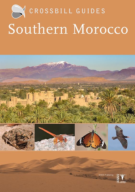 Southern Morocco