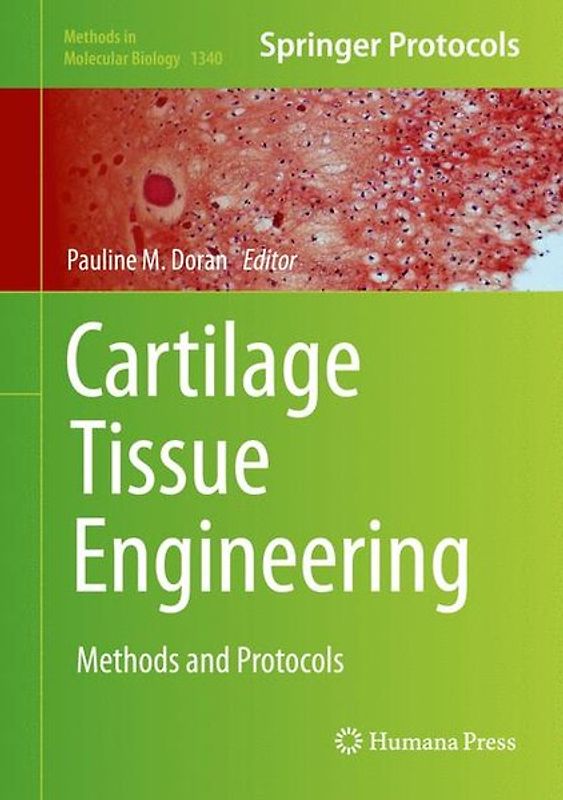 Cartilage Tissue Engineering