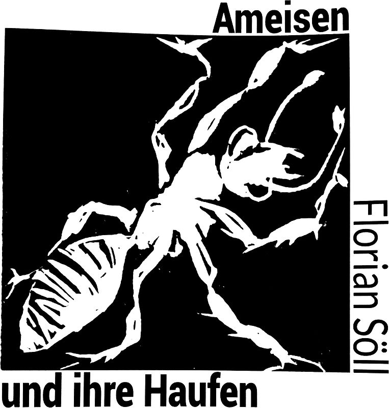 Ameisen und ihre Haufen