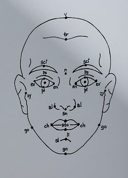 Megan Williams, Sheung Yiu: (Inter)Faces of Predictions