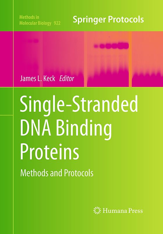 Single-Stranded DNA Binding Proteins