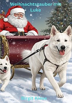 Weihnachtszauber mit Luke