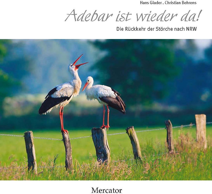 Adebar ist wieder da!