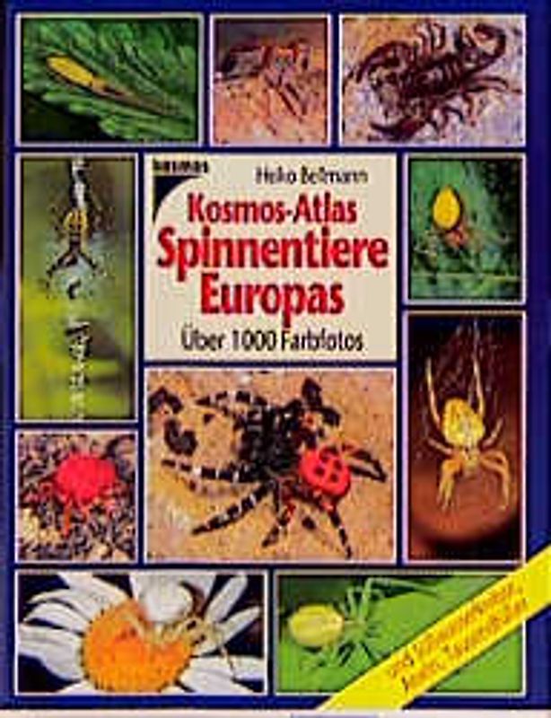 Kosmos-Atlas Spinnentiere Europas. Und Süsswasserkrebse, Asseln, Tausendfüssler