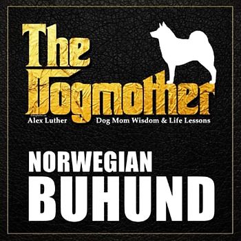 The Dogmother: Norwegian Buhund: (Dog Mom Wisdom & Life Lessons)