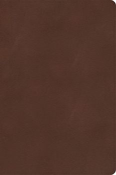 CSB Rainbow Study Bible, Brown Leathertouch