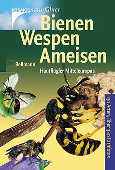 Bienen, Wespen, Ameisen