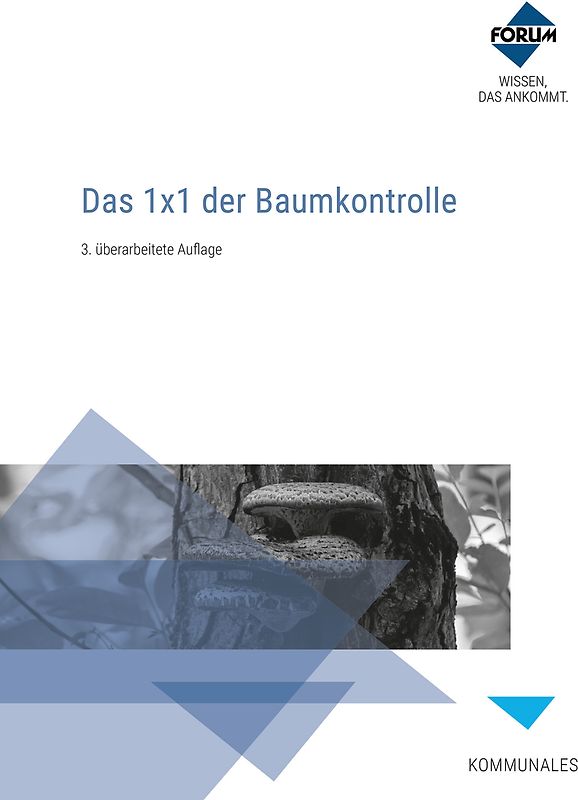 Das 1x1 der Baumkontrolle