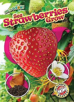 See Strawberries Grow