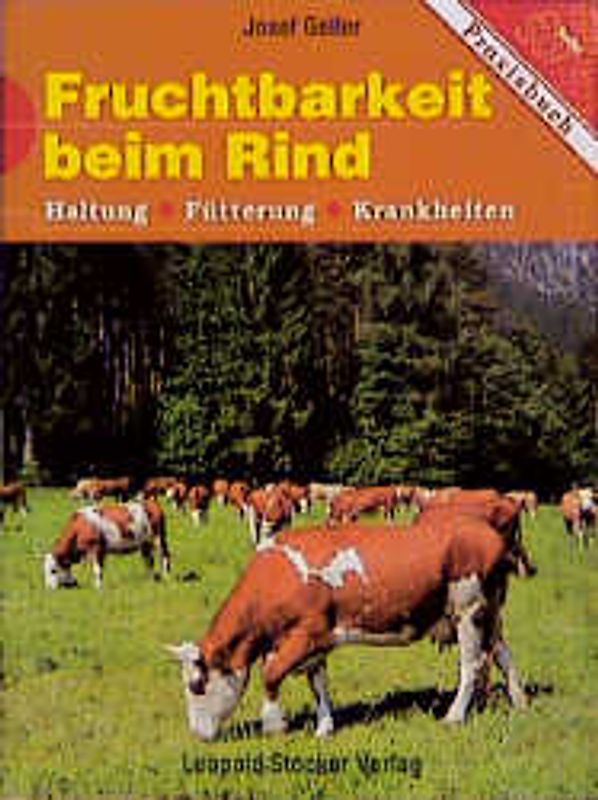 Fruchtbarkeit beim Rind