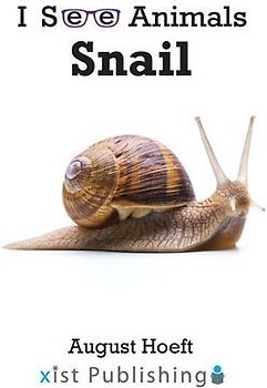 Snail