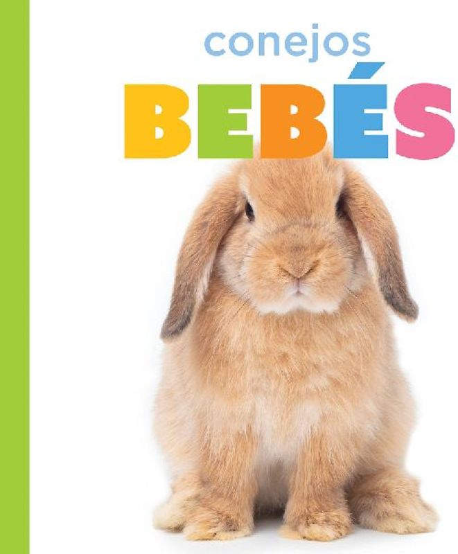 Conejos Bebés