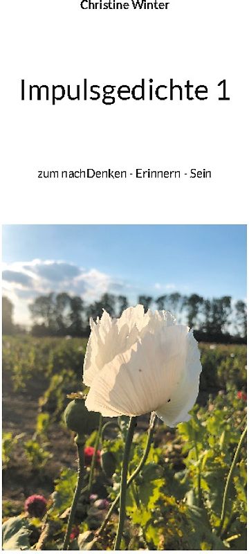 Impulsgedichte 1