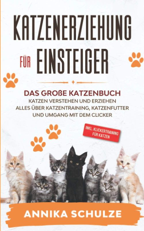 Katzenerziehung für Einsteiger