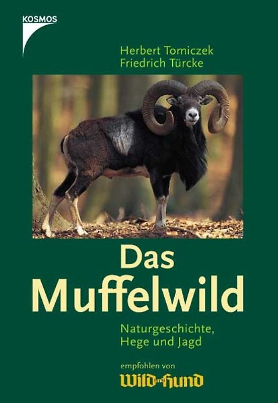 Das Muffelwild