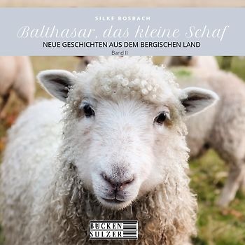 Balthasar, das kleine Schaf