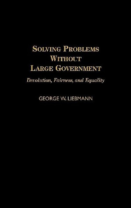 Solving Problems Without Large Government