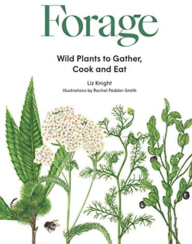Forage: Wild plants to gather and eat