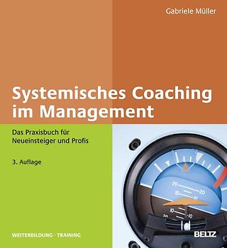 Systemisches Coaching im Management
