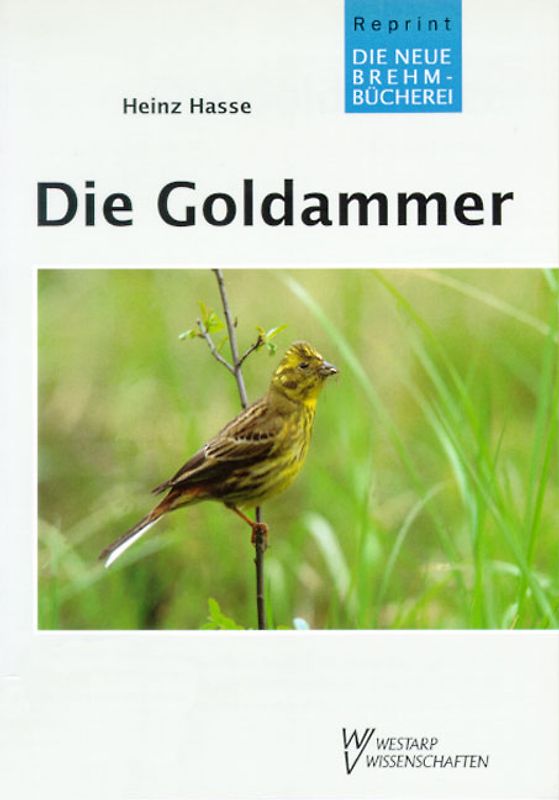 Die Goldammer