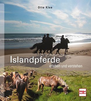 Islandpferde