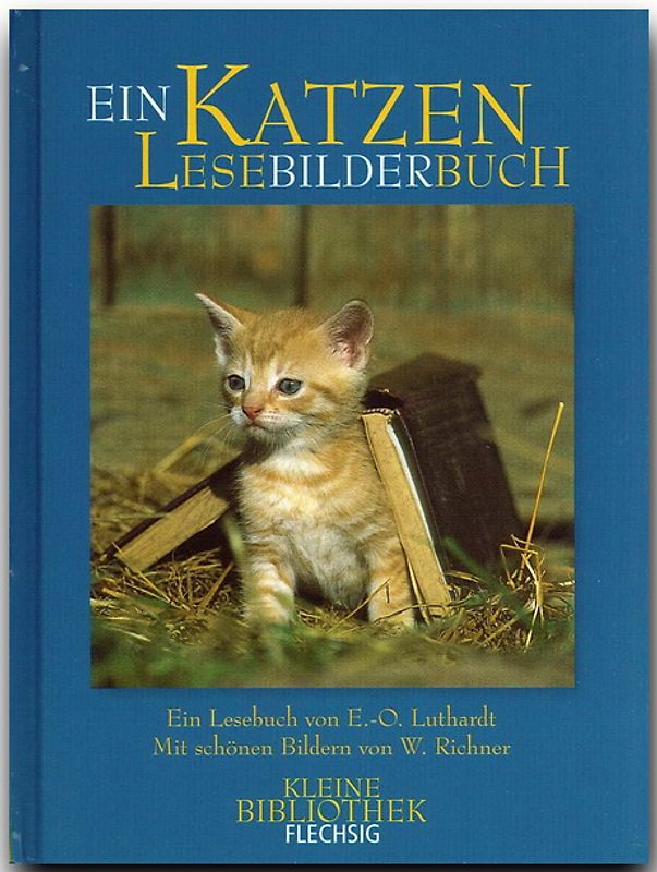 Katzen LeseBilderBuch