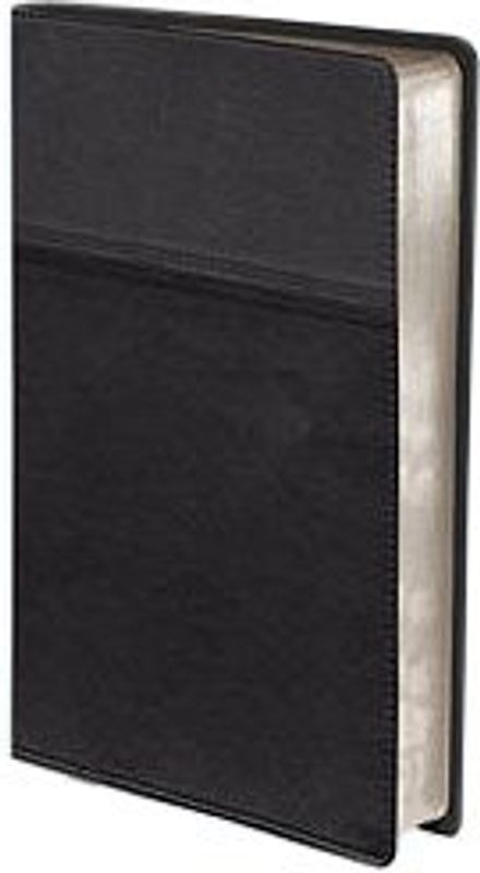 Thinline Bible-NIV [Hardcover]