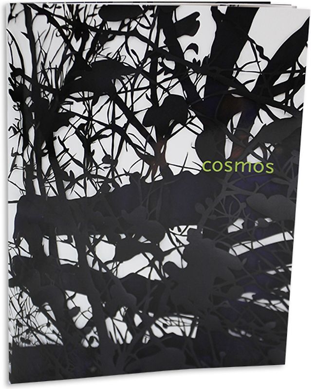 Cosmos - Heike Weber