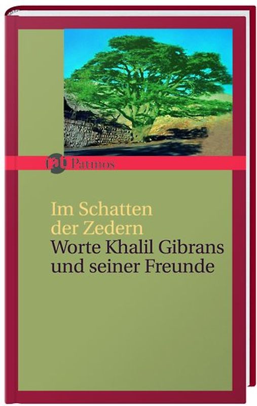 Im Schatten der Zedern