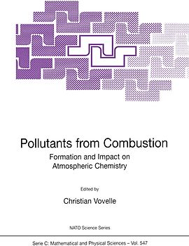 Pollutants from Combustion