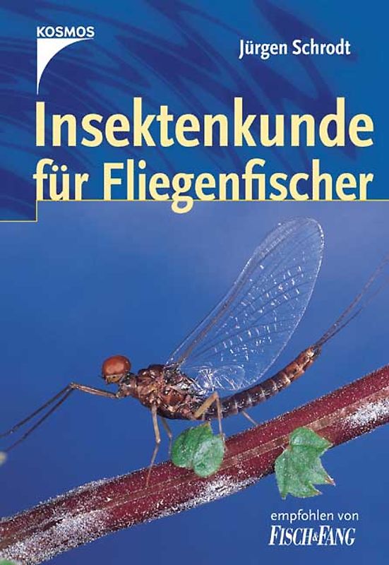 Insektenkunde für Fliegenfischer