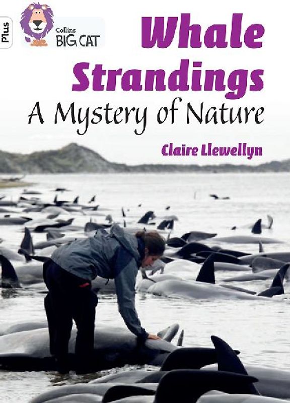 Whale Strandings: A Mystery of Nature
